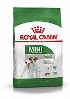 Royal Canin MINI ADULT для взрослых собак мелких пород (до 10 кг),800гр