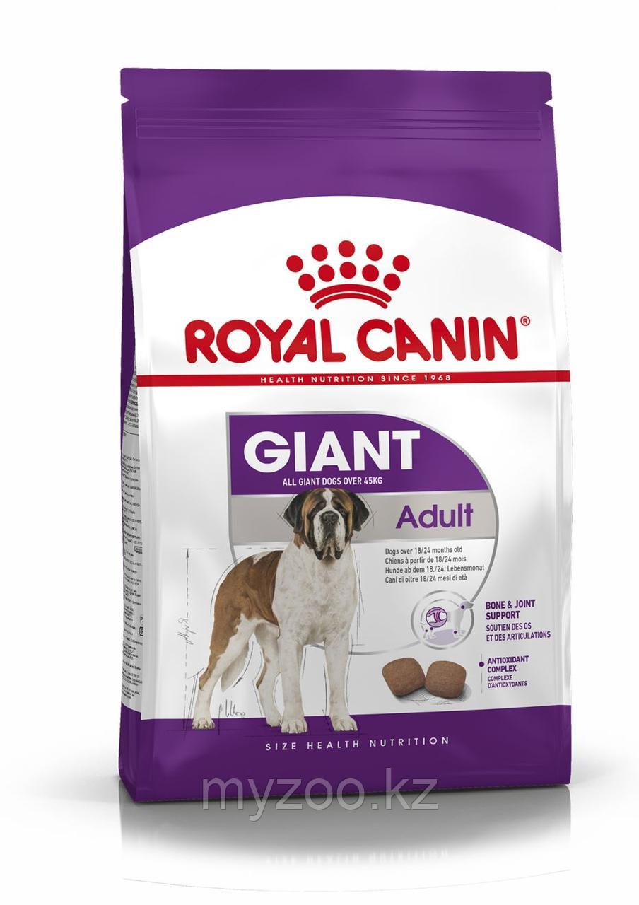 Royal Canin GIANT ADULT для собак гигантских пород, 15 кг