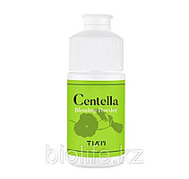 Пудра точечного нанесения для проблемной кожи лица TIAM Centella Blending Powder 10гр