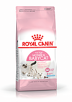 Royal Canin MOTHER&BABY CAT для котят от 1-4 месяцев и кормящих кошек , 10кг