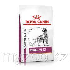 Royal Canin RENAL SELECT для собак с проблемами почек,10кг - фото 1 - id-p99362524