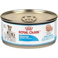 Royal Canin STARTER MOUSSE 2 айға дейінгі күшіктерге арналған паштет , 195гр