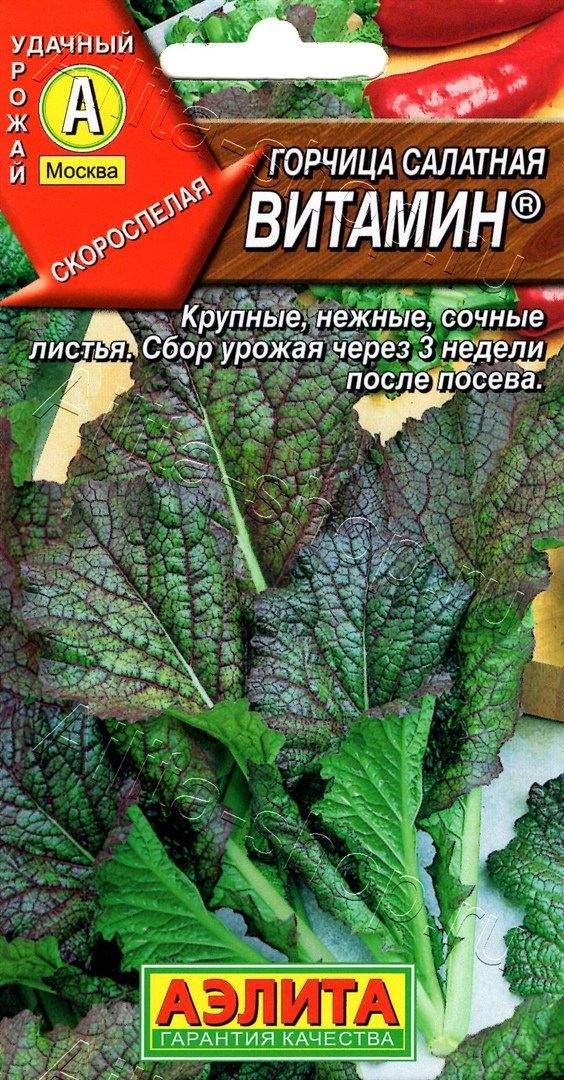 Семена Горчицы салатной "Витамин" Аэлита
