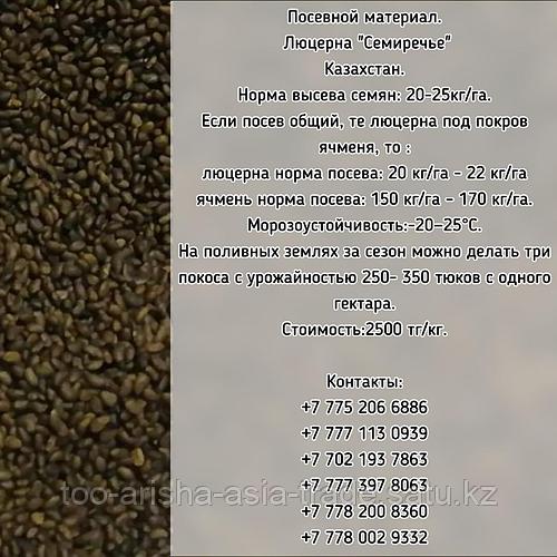 Купить Семена Люцерны В Ростовской Области Цена
