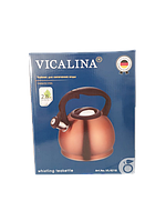 Чайник Vicalina VL-9217 2,8 л, фото 4