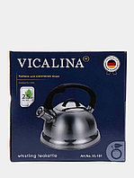 Чайник Vicalina VL-101 2,5 л, фото 5
