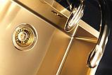 Кухонная мойка  под столешницу Alveus Quadrix Monarch 30 Gold, фото 2
