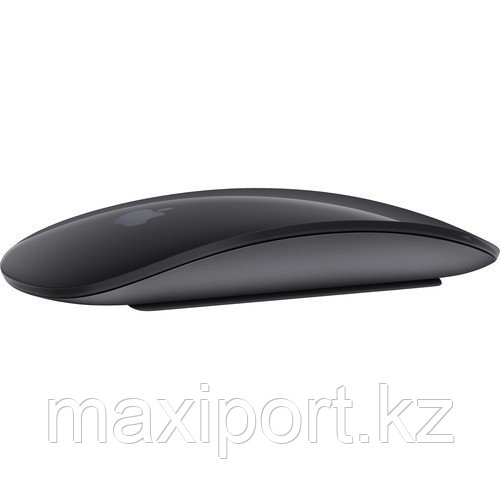 Apple Magic Mouse 2 Space Gray - фото 1 - id-p70244584