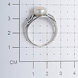 Кольцо из серебра с жемчугом культ. Красная пресня 2339586, фото 2