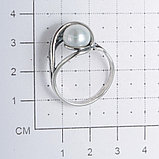 Кольцо из серебра с жемчугом культ. Красная пресня 2338516, фото 2