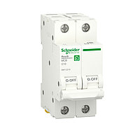 RESI9 АВТОМАТТЫ АЖЫРАТҚЫШ (АВ) С 10А 2P 6000A | R9F12210 | Schneider Electric