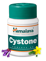 Цистон Хималая (против цистита и др.хронических инфекций) Cystone Himalaya 60 табл