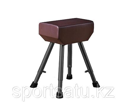 Козел гимнастический