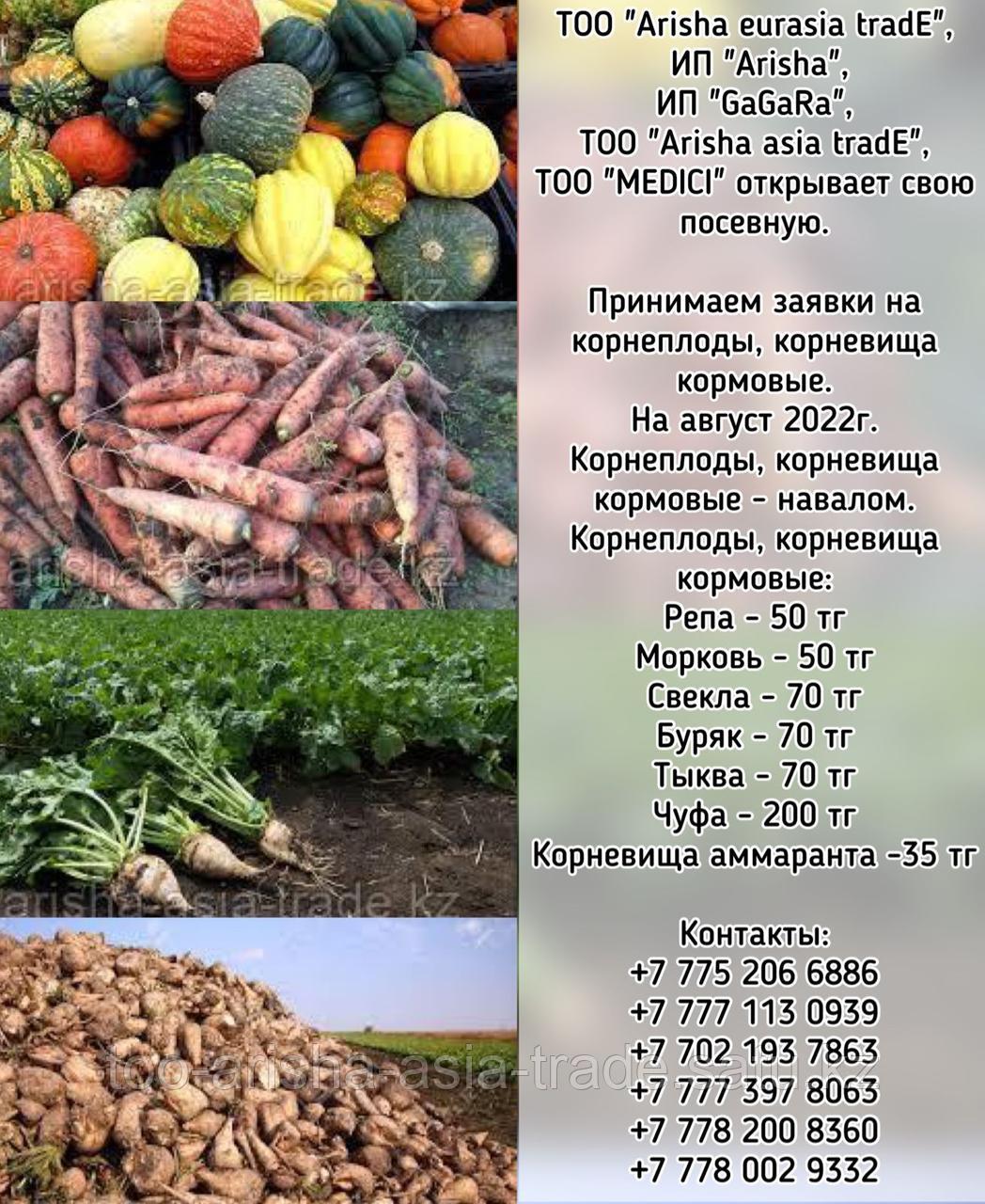 Корнеплоды, корневища кормовые Казахстан