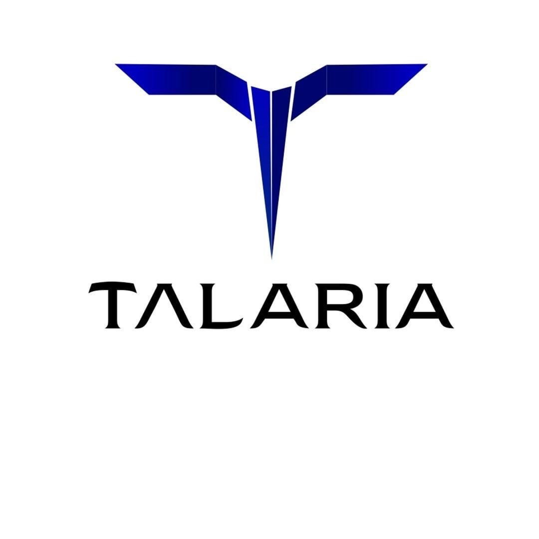 Электробайк TALARIA STING TL4000 L1e 8kW 60V 45Ah, конкурент surron - фото 3 - id-p99670723