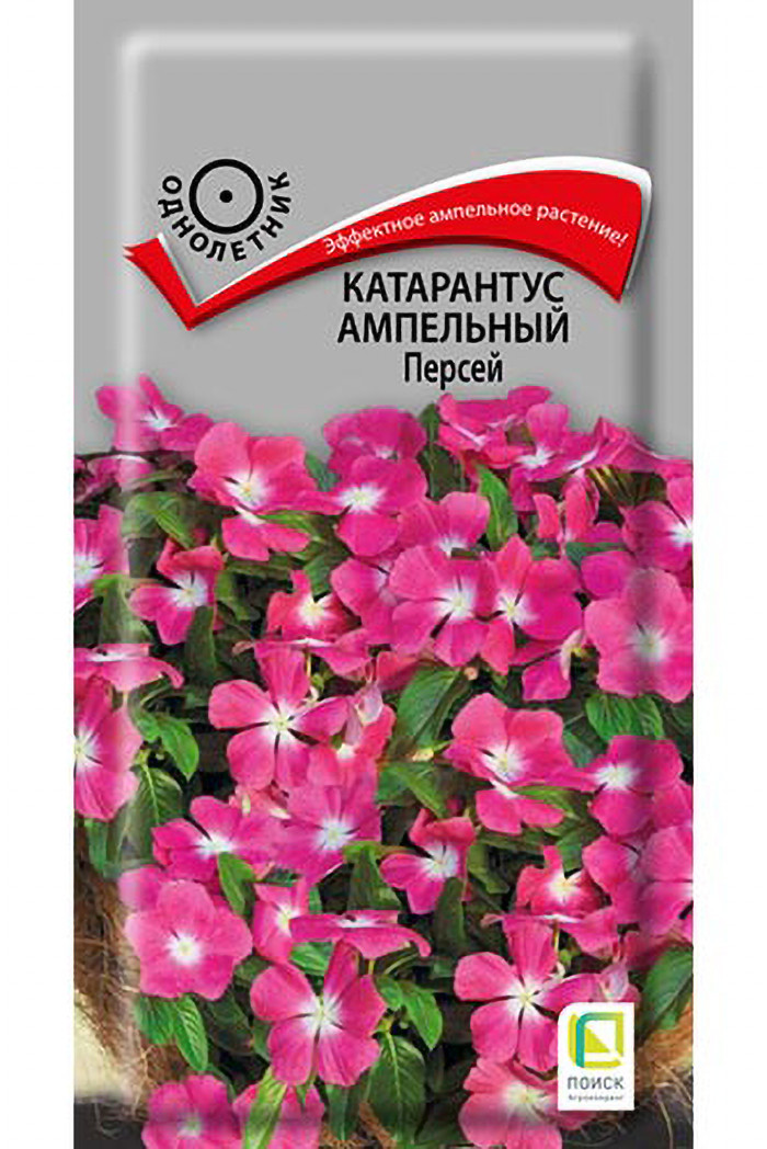 Вайлдберриз Купить Семена Катарантуса