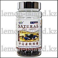 Хитозан в капсулах от фабрики Blue Sky, 100 шт.