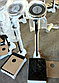 Весы с ростомером  RGZ-160 механические, фото 5
