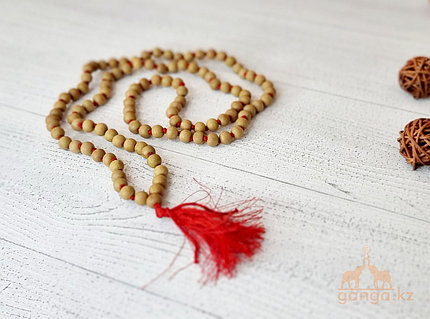 Кончают в қынап порно видео