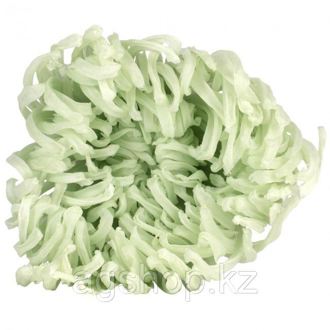 Цветок Анастасия салатовый - фото 2 - id-p99895200
