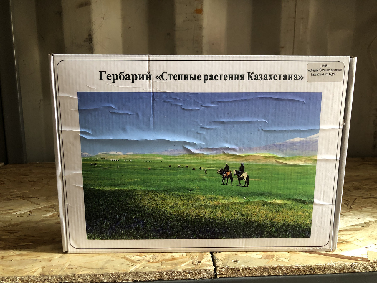 Гербарий Степные растения Казахстана
