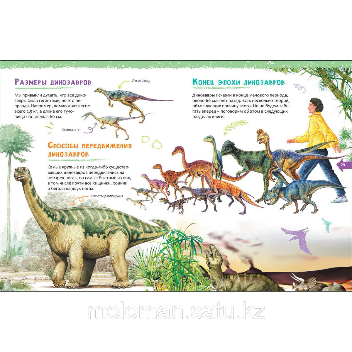 Динозавры. Новая детская энциклопедия - фото 5 - id-p99923036