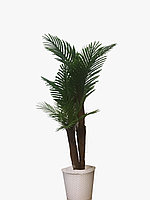 Искусственное растение Ховея пальма