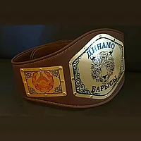 Пояс чемпиона