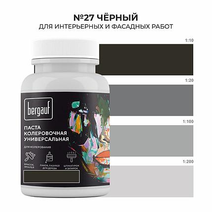 Бергауф, Паста колеровочная универсальная, "ЧЁРНЫЙ" 0.1л, фото 2