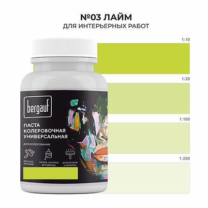 Бергауф, Паста колеровочная универсальная, "ЛАЙМ" 0.1л, фото 2