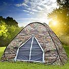 Палатка-автомат 250Х250 с сеткой, летняя, фото 10