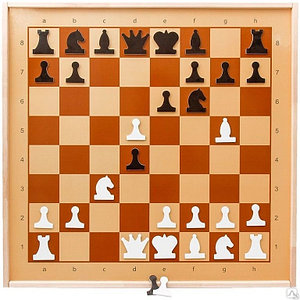 Магнитные демонстрационные шахматы