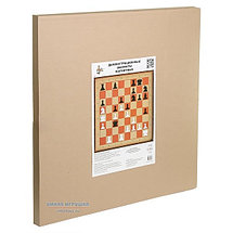 Магнитные демонстрационные шахматы, фото 3