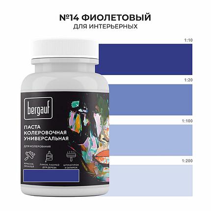 Бергауф, Паста колеровочная универсальная, "ФИОЛЕТОВЫЙ" 0.1л, фото 3