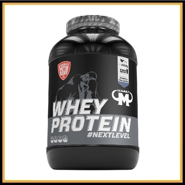 Сывороточный протеин Mammut Whey Protein 3 кг «Шоколад»