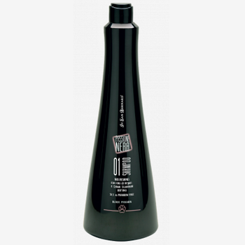 ISB BLACK SHAMPOO 01 Шампунь питательный с аргановым маслом, 1л