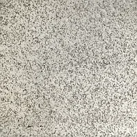 Гранит Серый Кунжут, светло-серый, 600х600х20 мм