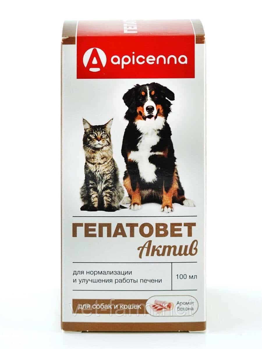 Гепатовет Для Кошек Купить В Челябинске