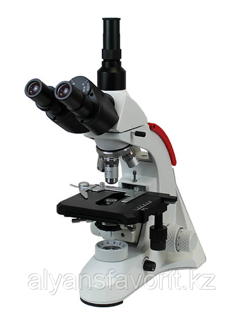 Микроскоп Биолаб 5T (тринокулярный) - фото 2 - id-p100063153