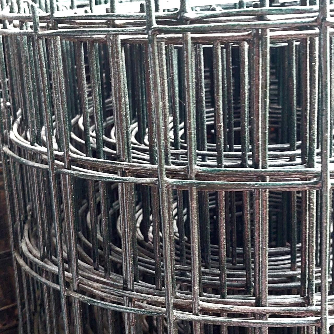 Сетка металлическая с полимерным покрытием (голландская) 60х60, Ø 2,0 мм 1,2х30 м (разукомплект) - фото 2 - id-p75903169