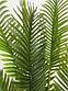 Пальма Ховея ботаническая копия (искусственная) 1,6 м., фото 2