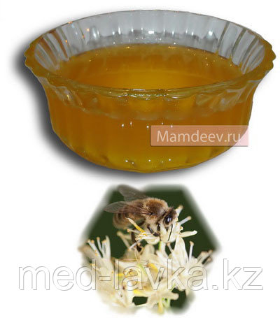 Мёд Японская липа (Башкирия), 1 кг