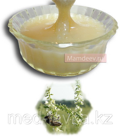 Мёд Донниковый (Башкирия), 1 кг