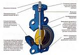 Затвор поворотный дисковый межфланцевый  "бабочка" Ду 100,  Китай, фото 2