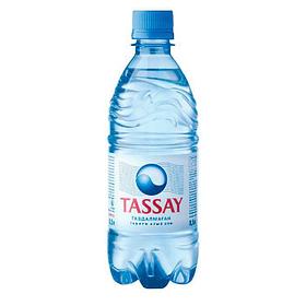 Вода питьевая Tassay, 500мл, негазированная, пластиковая бутылка