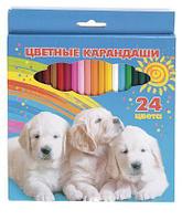 Карандаши Hatber VK, 24 цвета, серия Мои лучшие друзья, в картонной упаковке