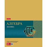 Тетрадь предметная Hatber, 48л, А5, на скобе, серия Gold Style - Алгебра, клетка