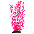 Растение "Людвигия" ярко-розовая- высота  400мм