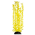 Растение "Людвигия" ярко-желтая - высота  400мм