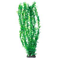 Растение "Людвигия" зеленая- высота 500мм